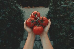 Photo Chopped vegetables
