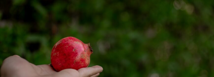 Photo Fresh fruit