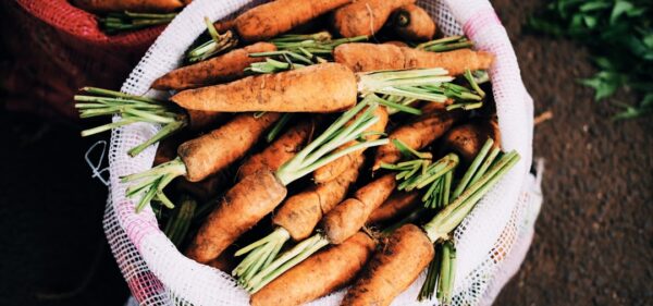 Photo Vegetable casserole