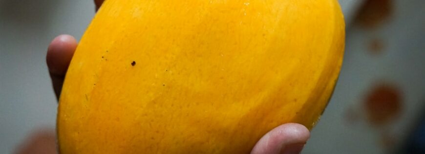 Photo Sliced employee mango
