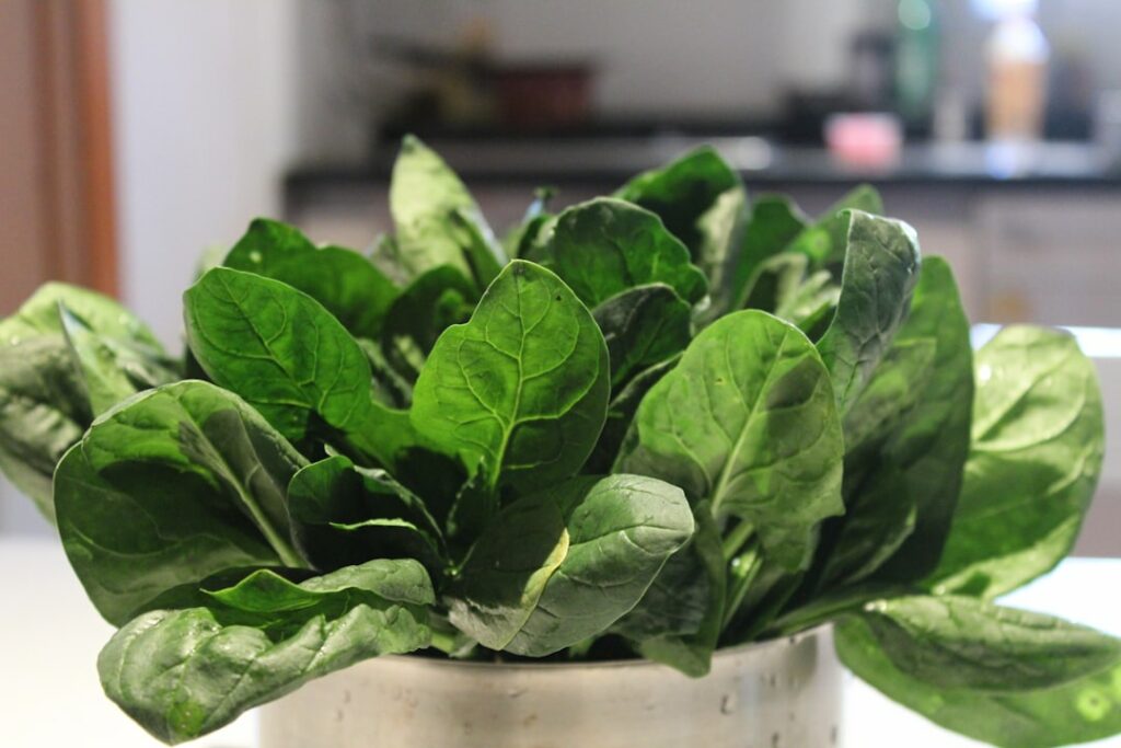 Photo Fresh vegetables