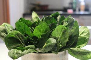Photo Fresh vegetables