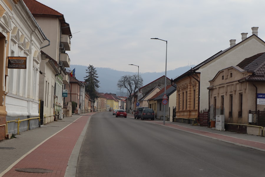 Photo Krojone śliwki pracownicze